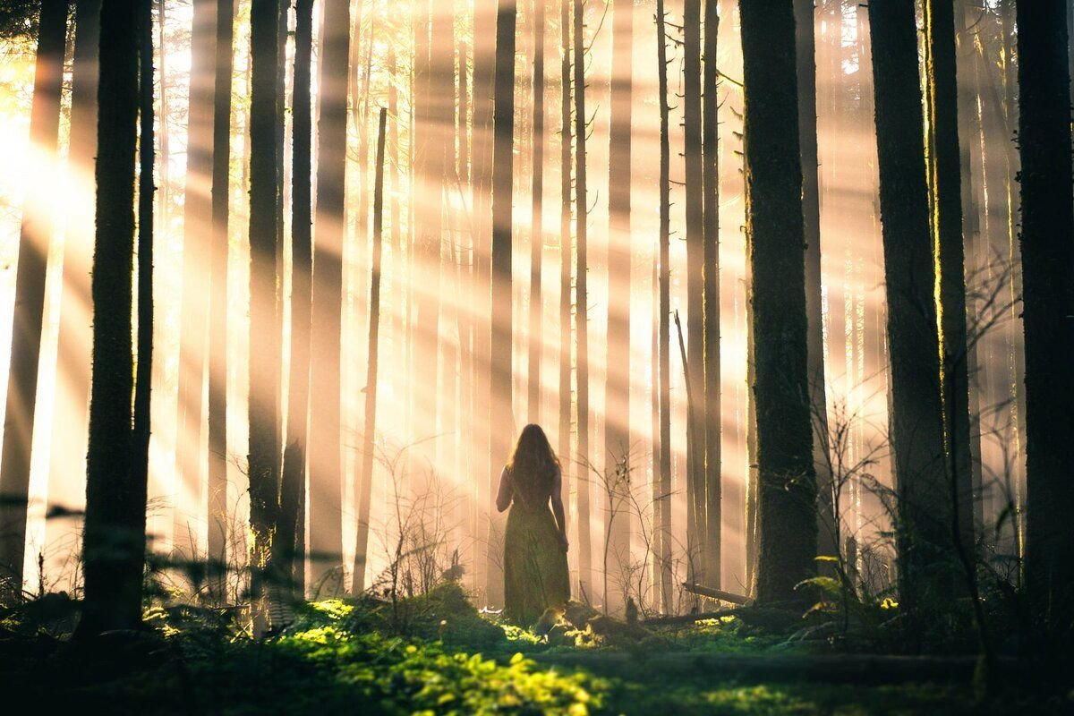 Луч света на человека. Человек в темном лесу. Лучи солнца в лесу. Девушка в темном лесу. Девушка в туманном лесу.