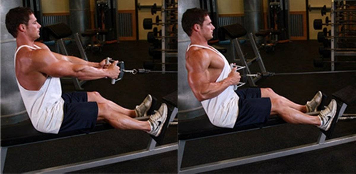 Seated row. Seated row. Тяга горизонтального блока параллельным хватом. Тяги горизонтального блока. Seated row.