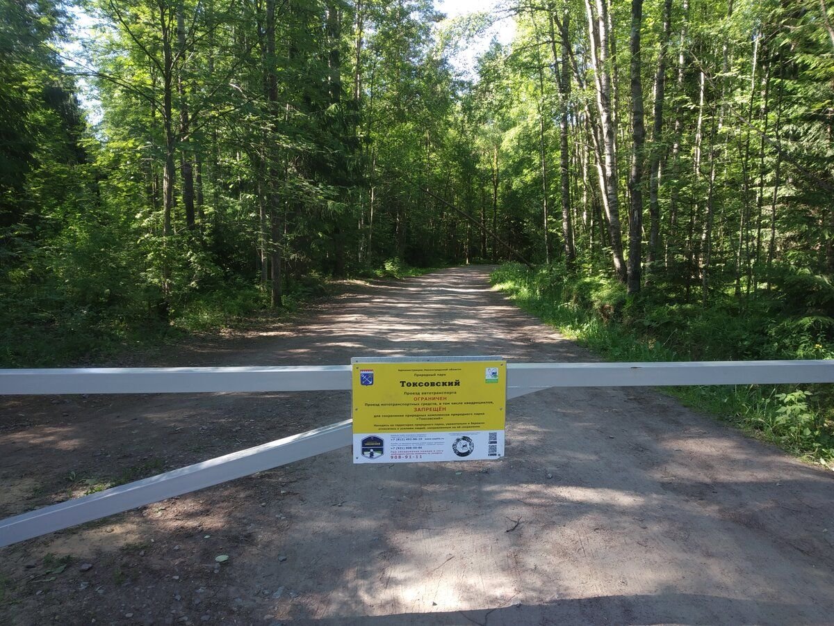 Ново кавголовский лесопарк всеволожский район