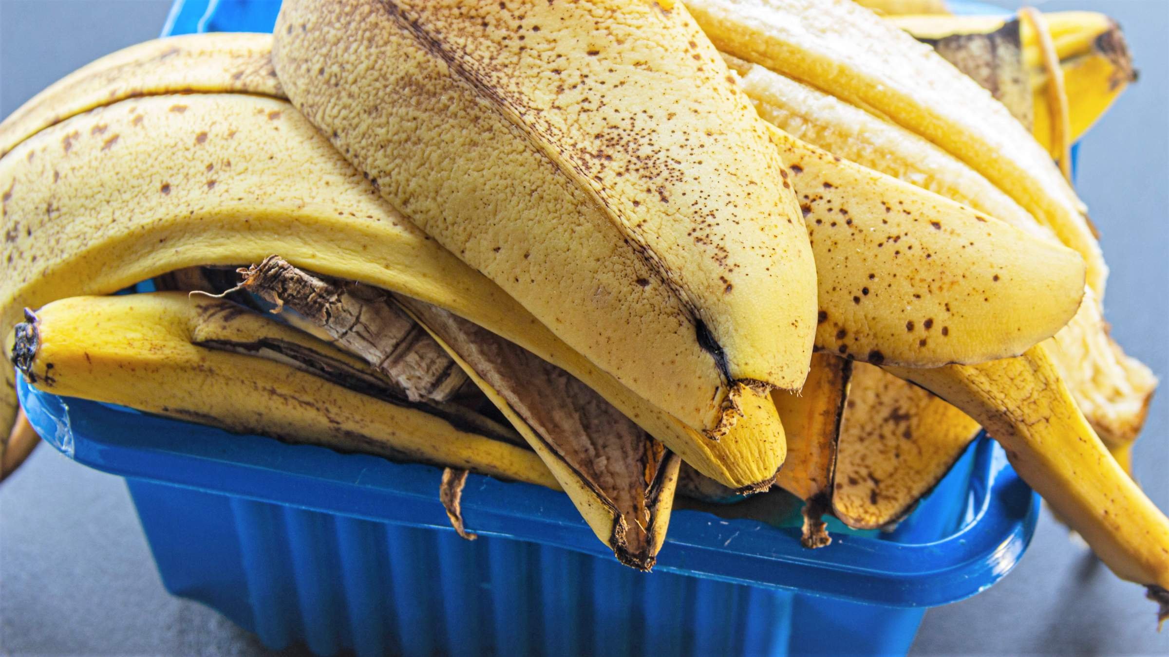 Можно есть кожуру банана. Кожура банана. Шкурка банана. Сушеная банановая кожура. Папирус из банановой кожуры.