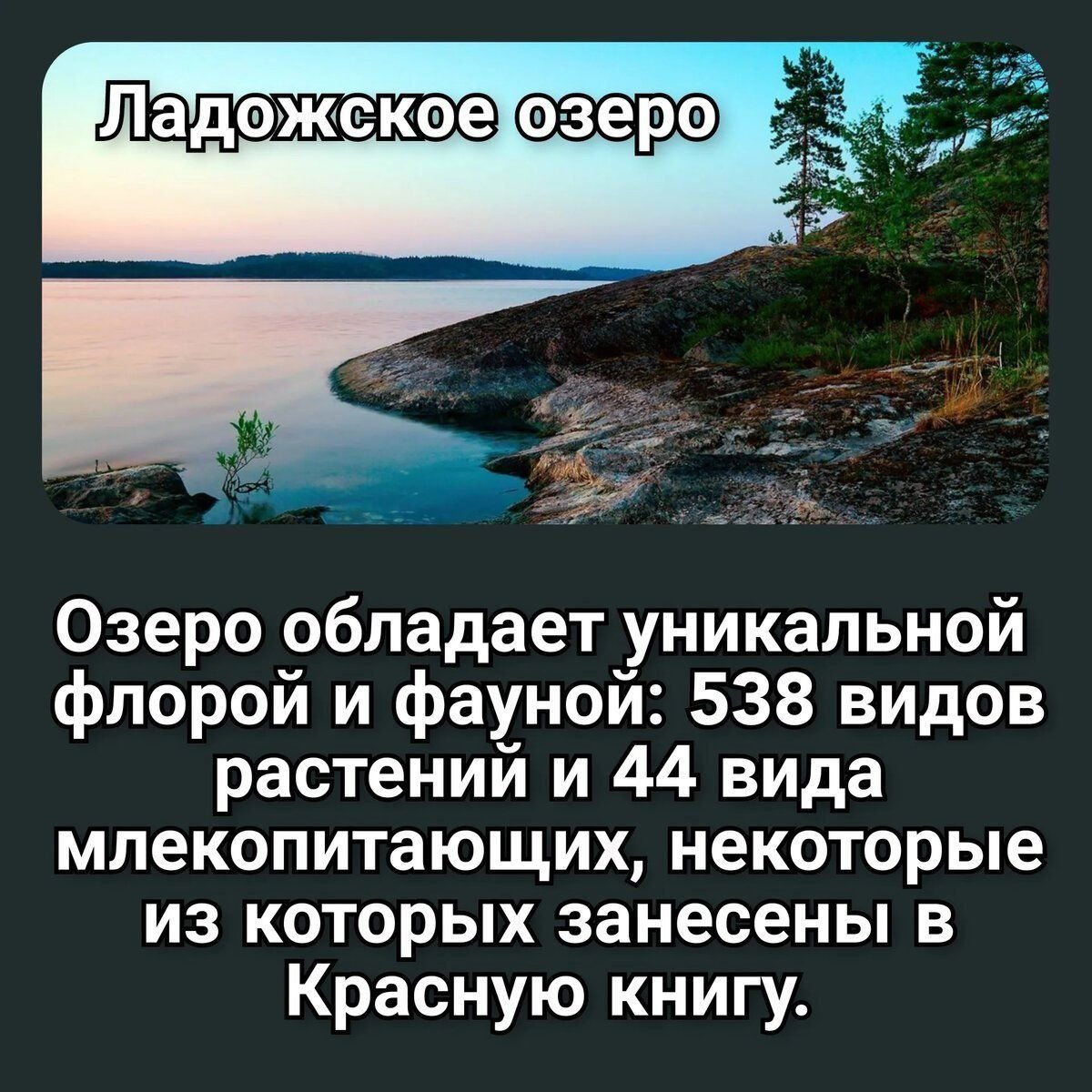 Проект великие озера россии
