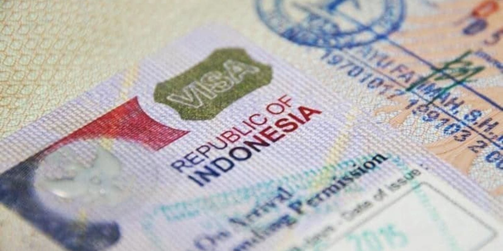 Visa Type