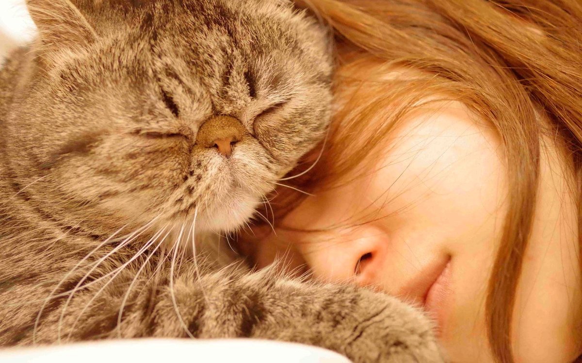 Почему кошки спят со мной. Девушка с рыжим котом. Спящие котята.
