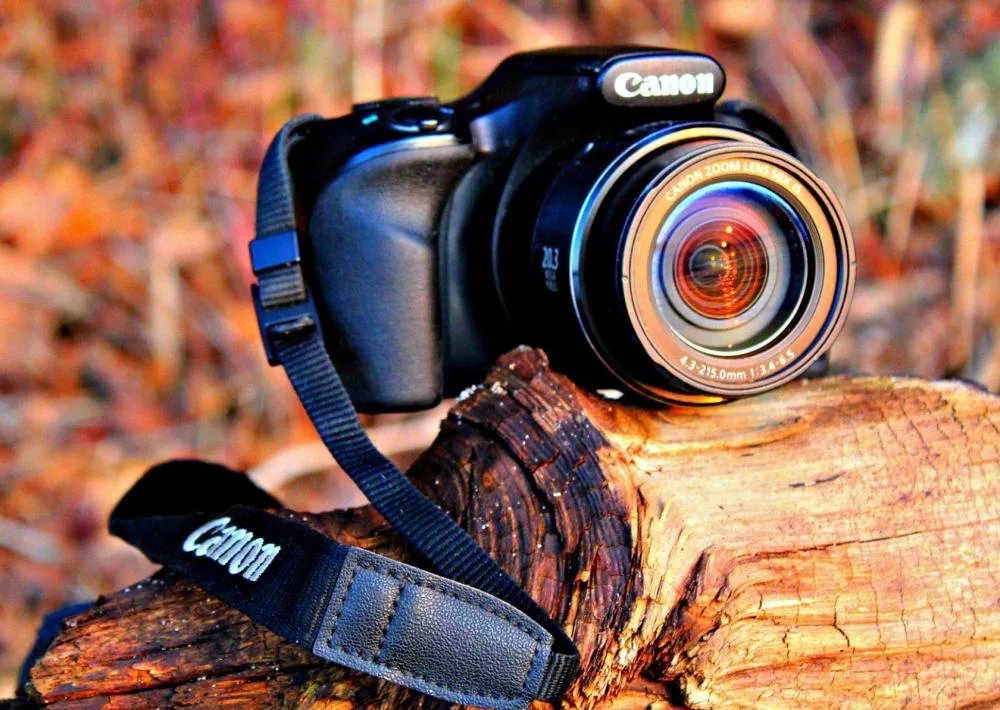 Камера для фотографий для начинающих