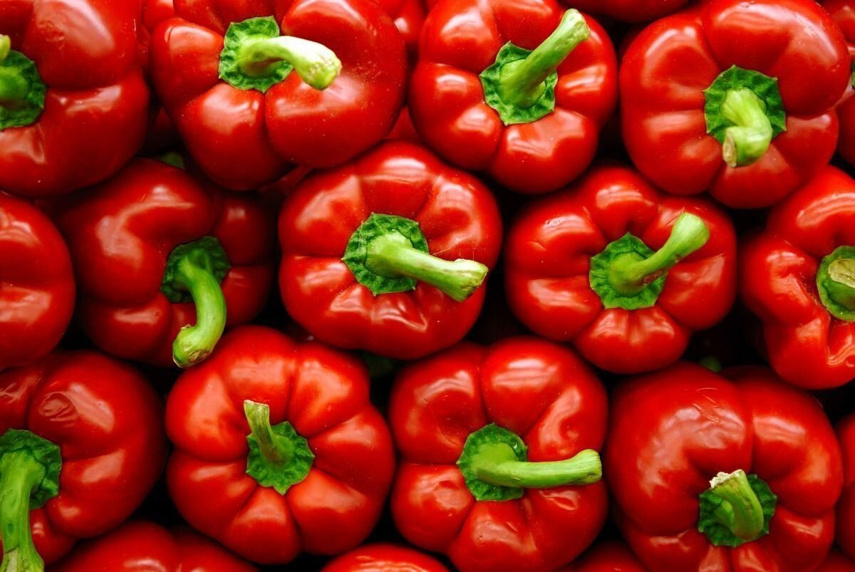 Паприка 4. Capsicum annuum сладкий перец. Овощной перец (Capsicum annuum). Сладкий болгарский перец. Ликопин красный болгарский перец.