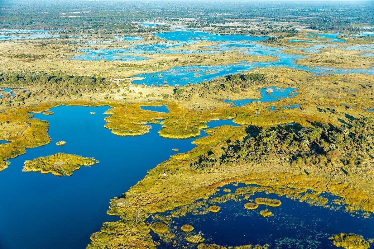 Крупнейшее болото европы. Васюганское болото. Дельта Окаванго болото. Васюганское болото заповедник. Болото Васюганское болото.