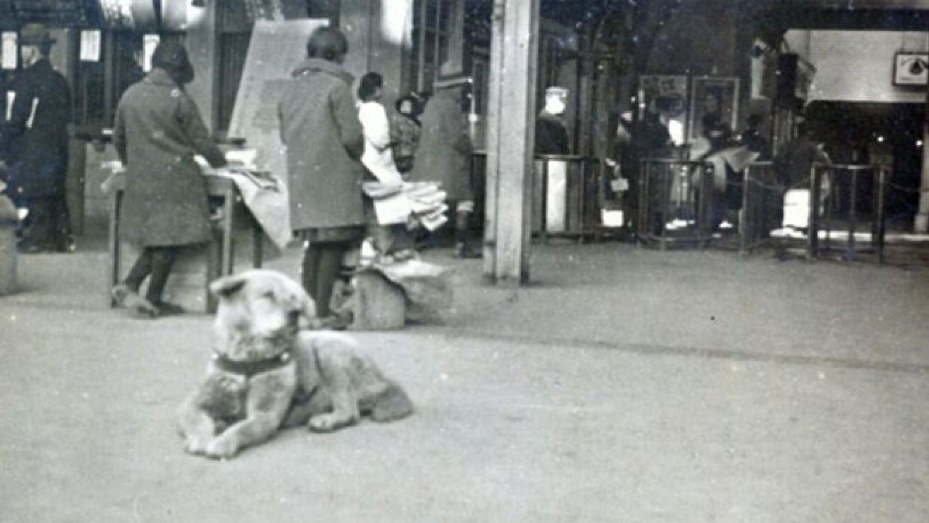 В истории самый верный. Хатико 1934. Настоящий хозяин Хатико. Хатико 1925.