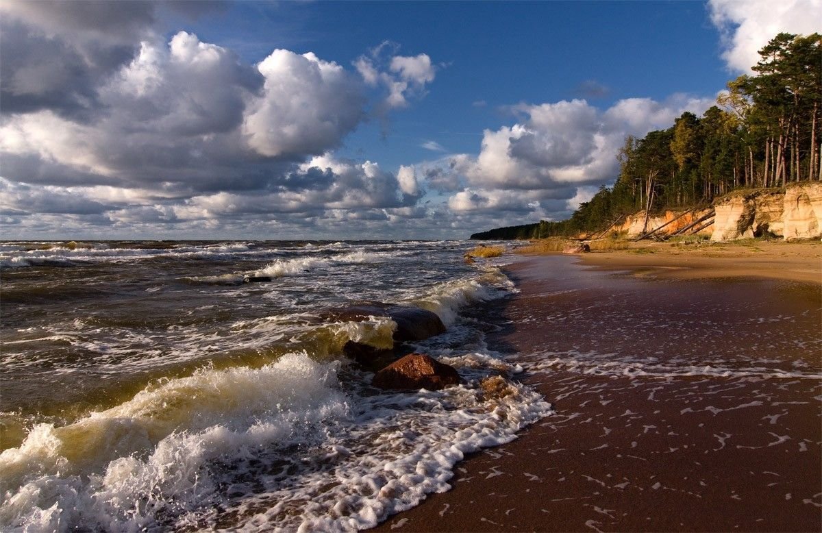 В балтийском море