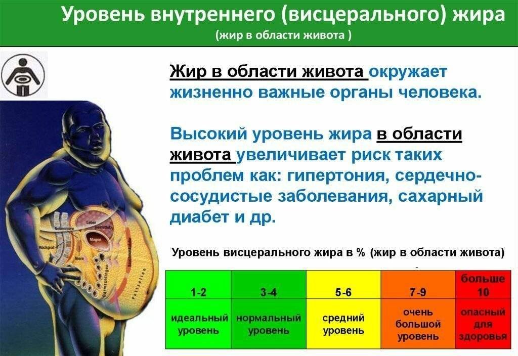 Какого содержание жира. Норма висцерального жира в организме женщины. Нормальный показатель висцерального жира. Уровень внутреннего висцерального жира.