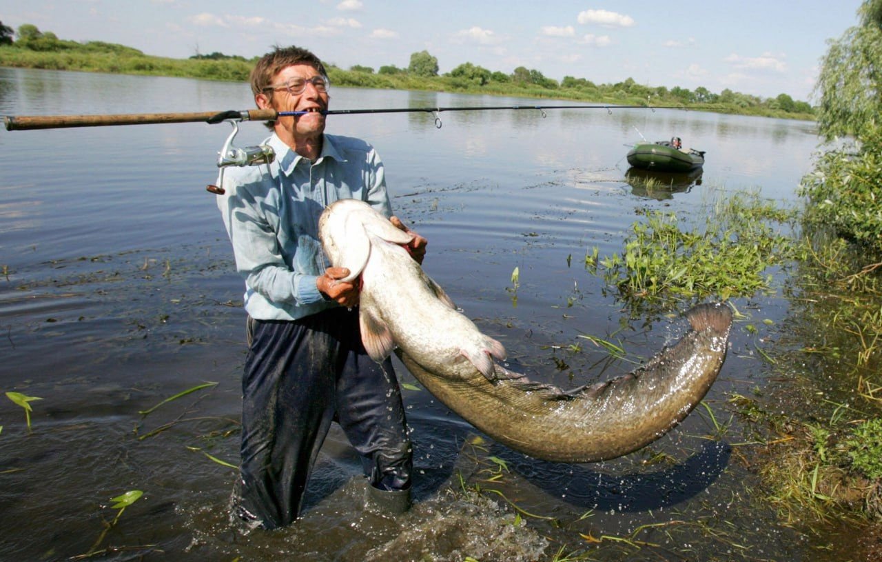 Поймаешь ли. На речке рыбалка поймал сома. Какая рыба водится в Ганге. Что водиться на Дону большое. Какую нибудь рыбу которую можно поймать в озере.