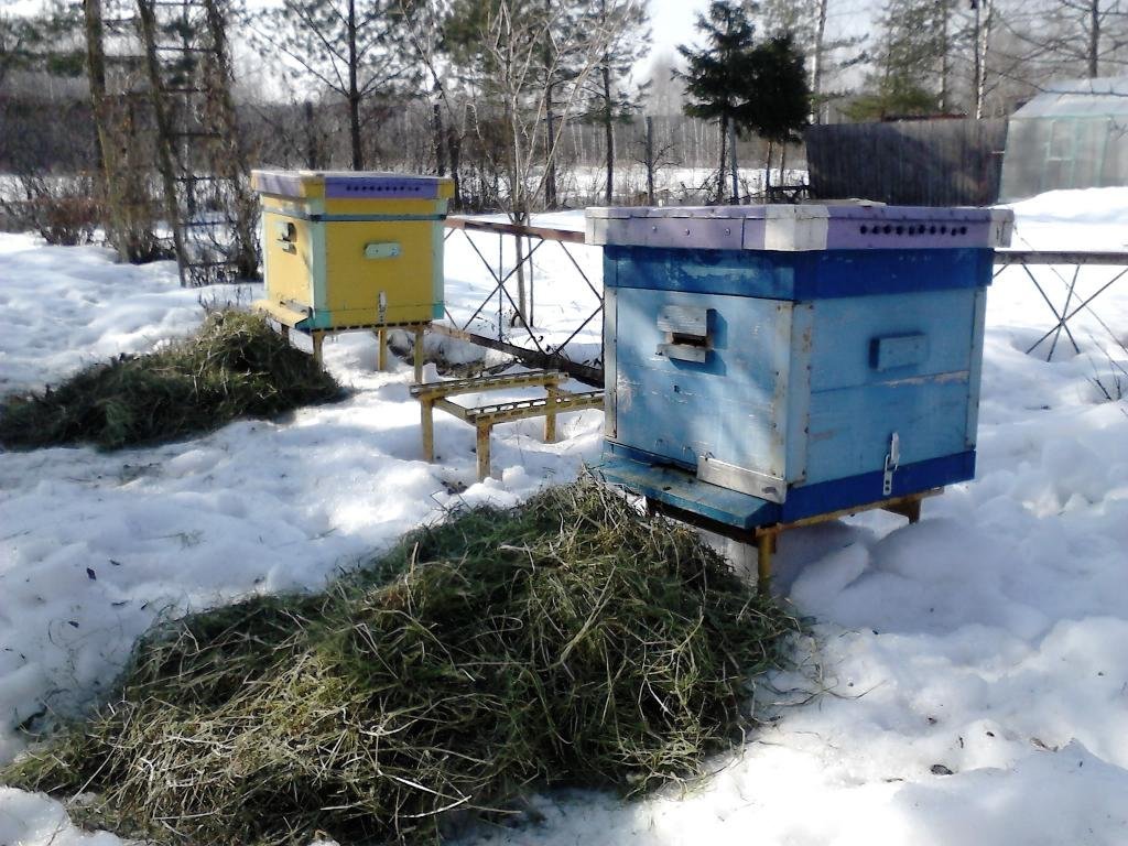 Зимовка пчел. Подготовка ульев к зиме. Ульи зима. Улей зимой. Зимние ульи для пчел.