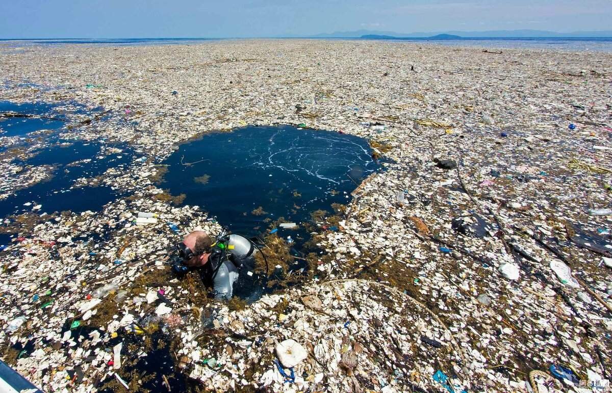 Картинки с загрязнением моря