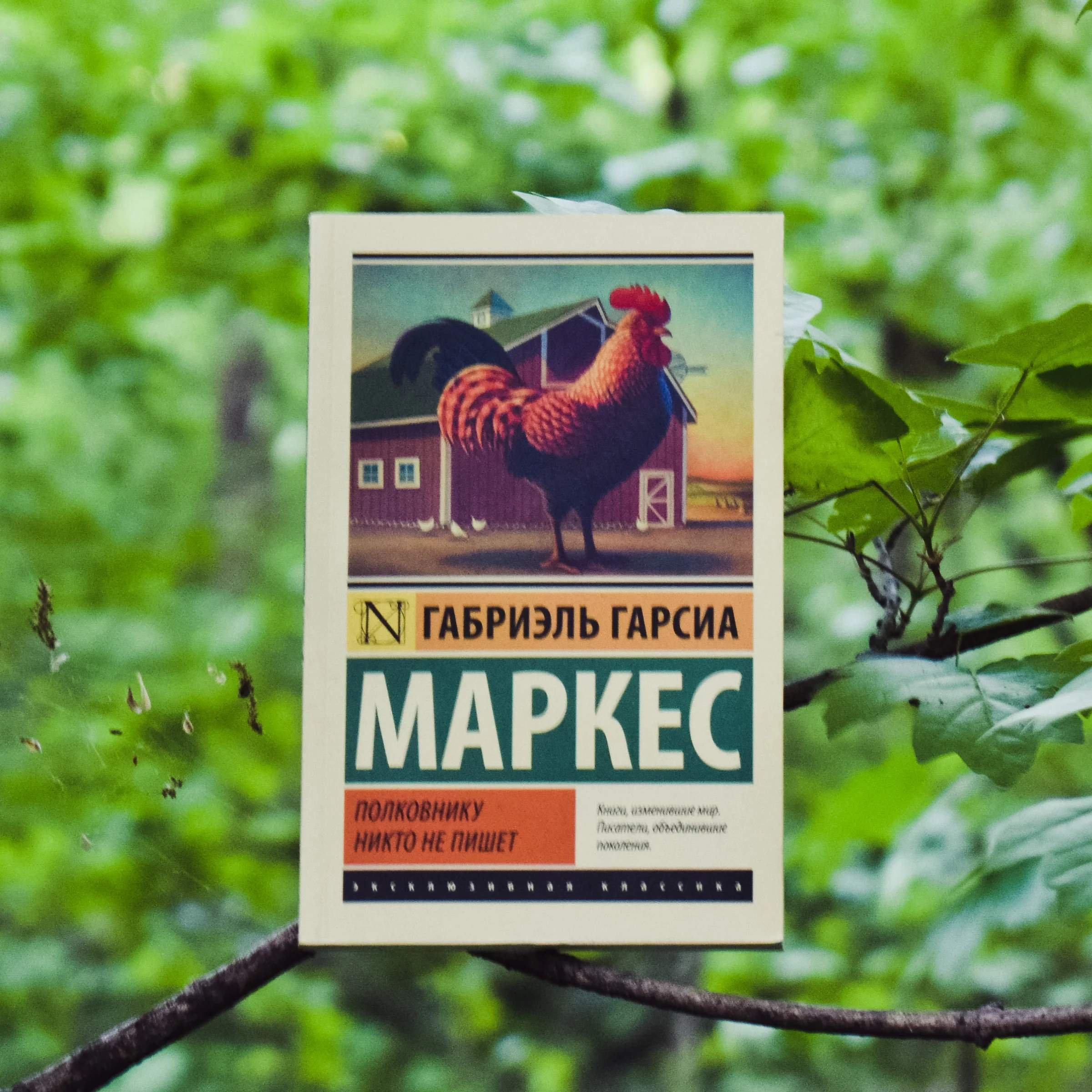 Полковнику никто не пишет книга. Габриэль Гарсиа Маркес полковнику никто. Полковнику никто не пишет. Полковнику никто не пишет Габриэль Гарсиа Маркес книга. Полеоанику никтотне пишет.