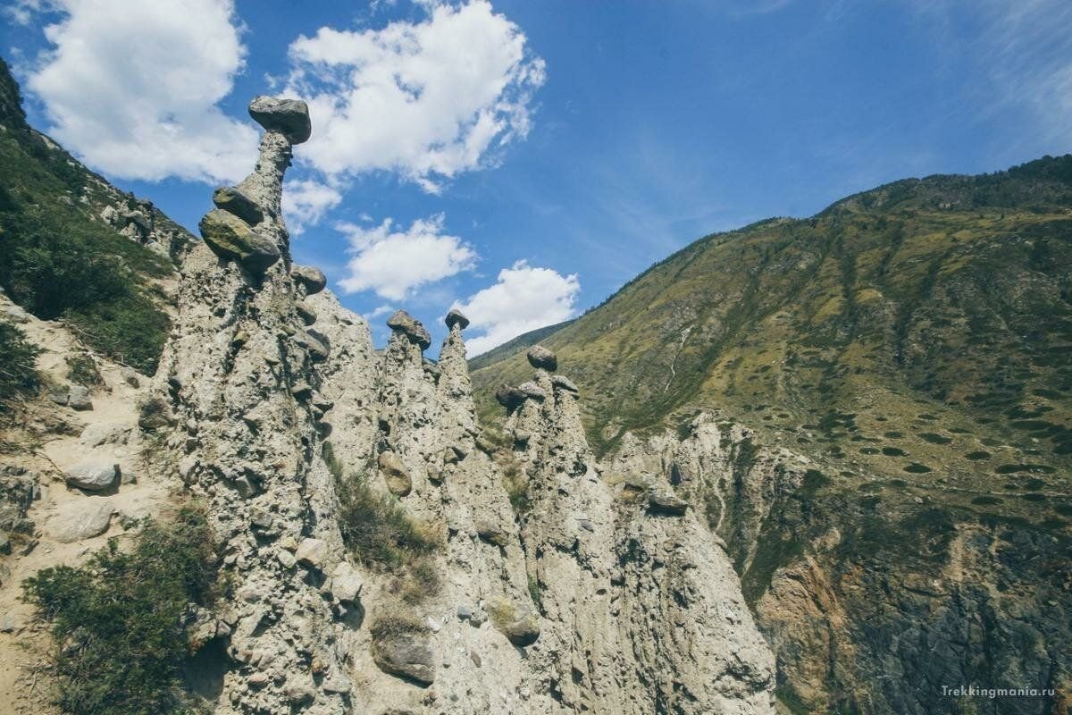 Каменные грибы алтай фото