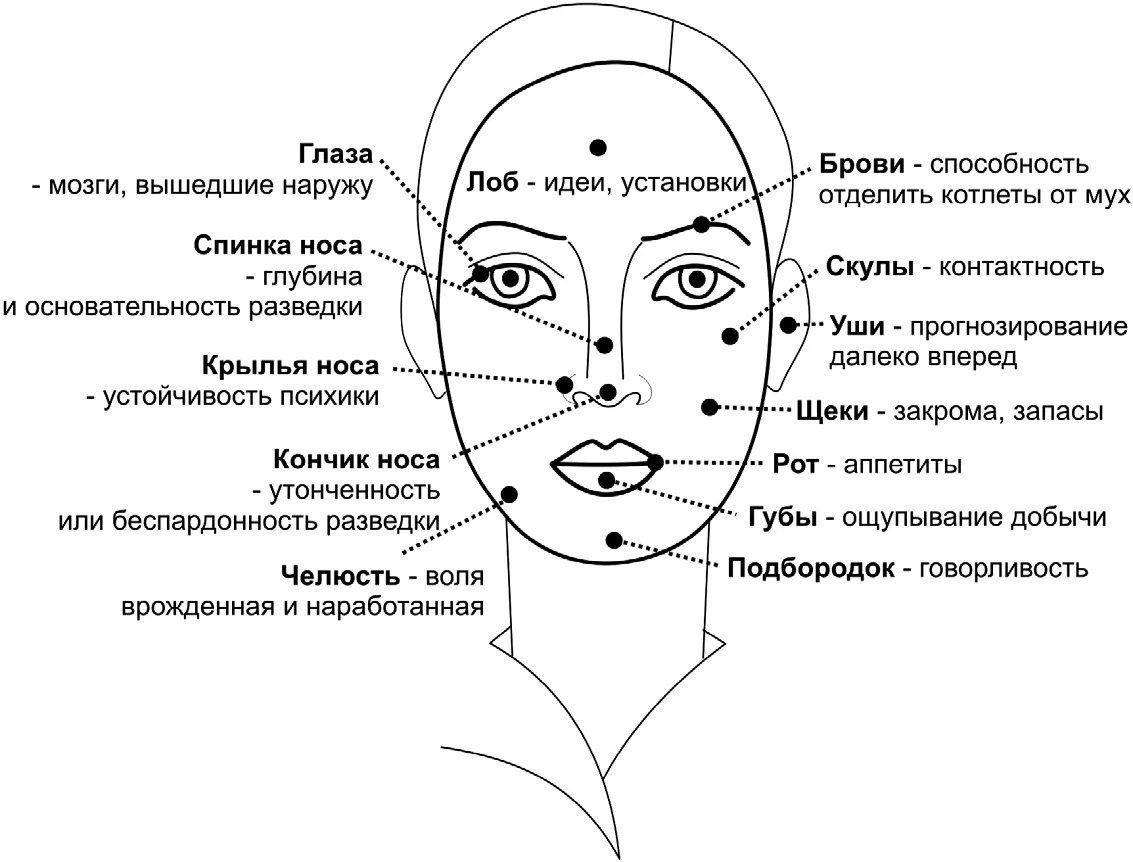 Физиогномика картинки для презентации