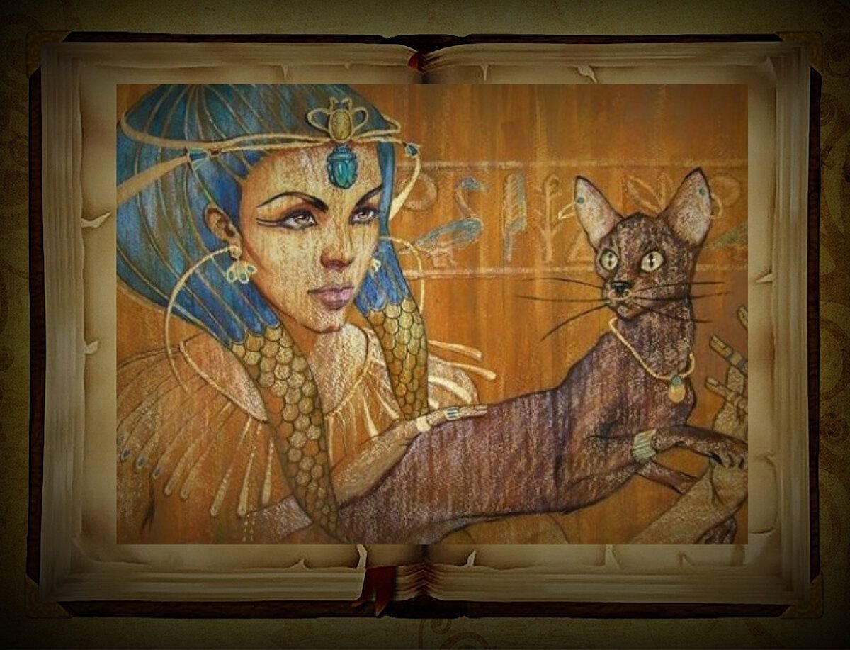Египетская художница Галла Фаттах
