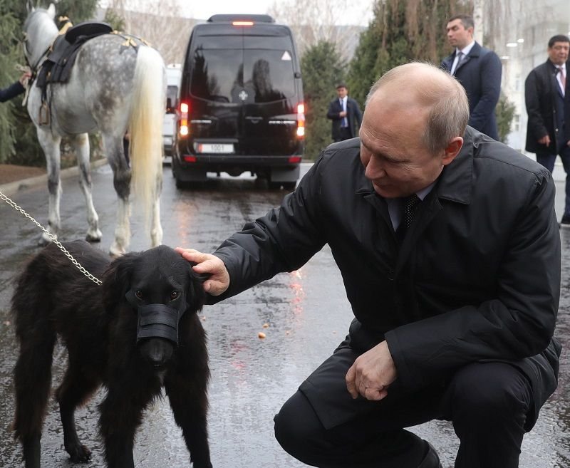 Какая порода собаки у путина картинки с названиями