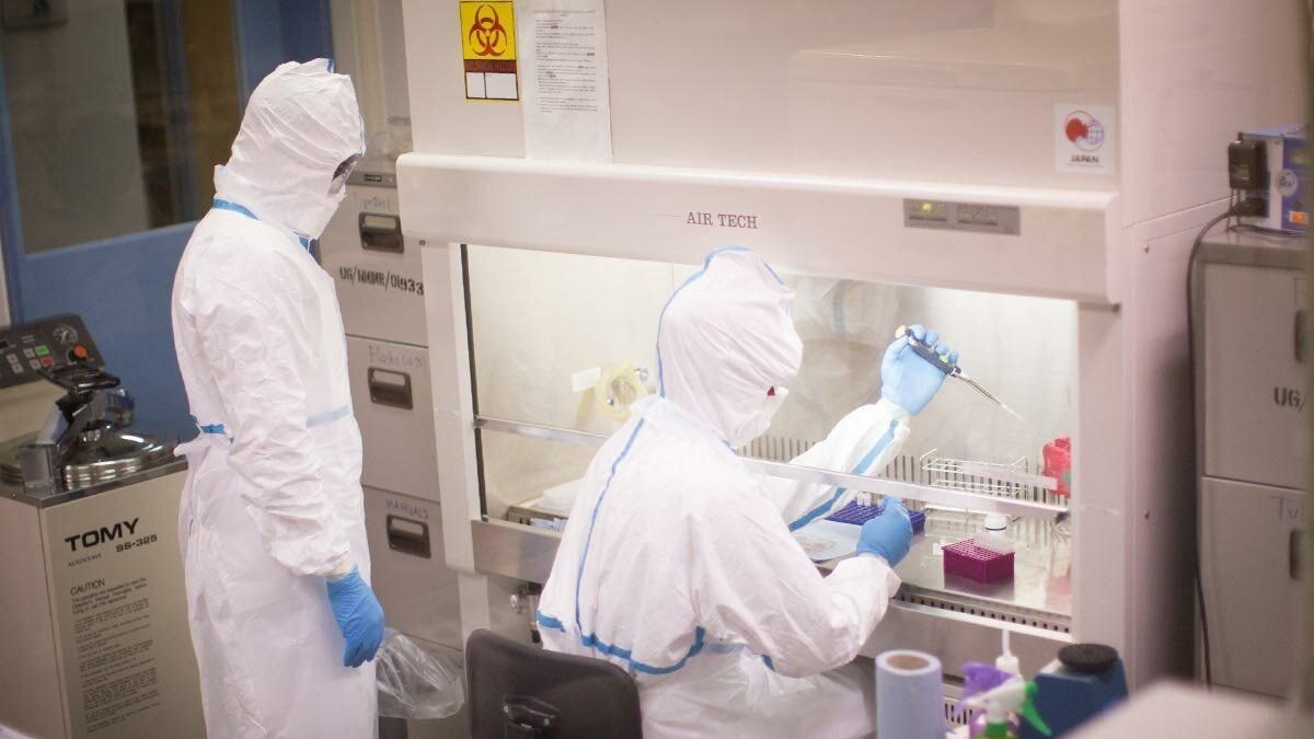 лихорадка марбург. лихорадка марбург возбудитель. лихорадка марбург. геморрагическая лихорадка марбург эпидемиология. геморрагическая лихорадка марбурга клиника.