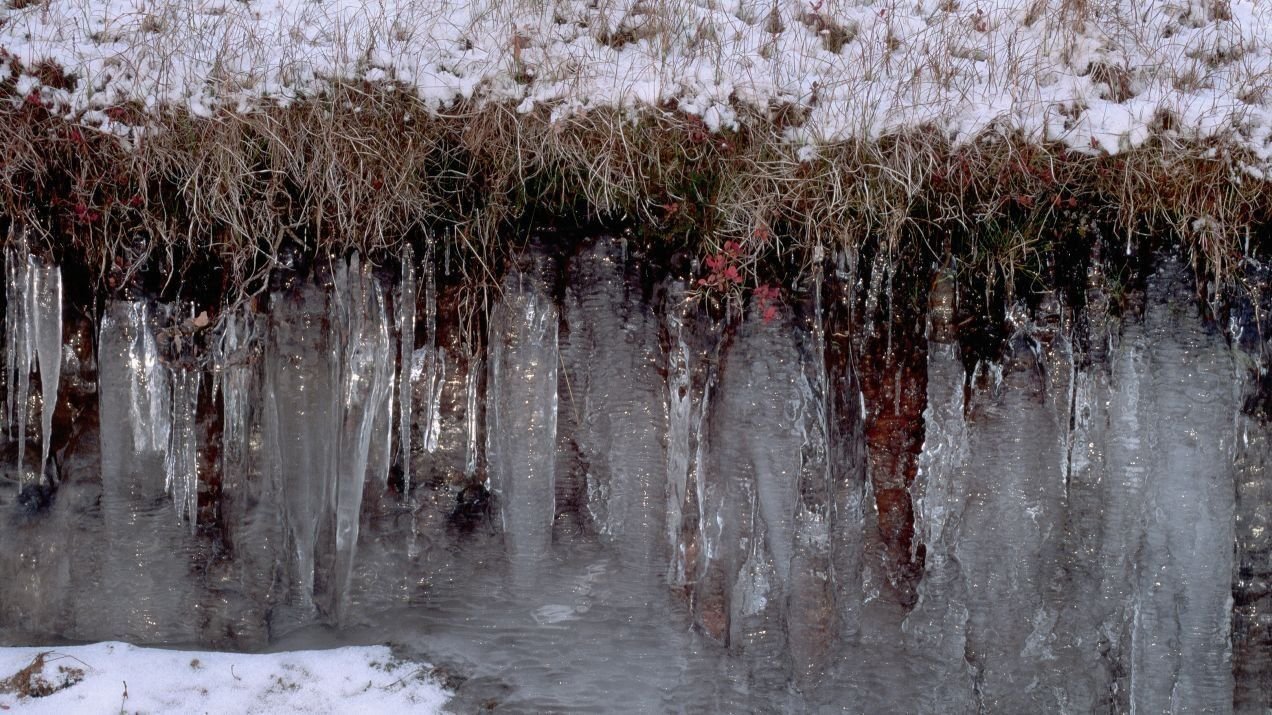 Сохранение вечной мерзлоты. Пермафрост. Permafrost. Red Permafrost. Thaw.