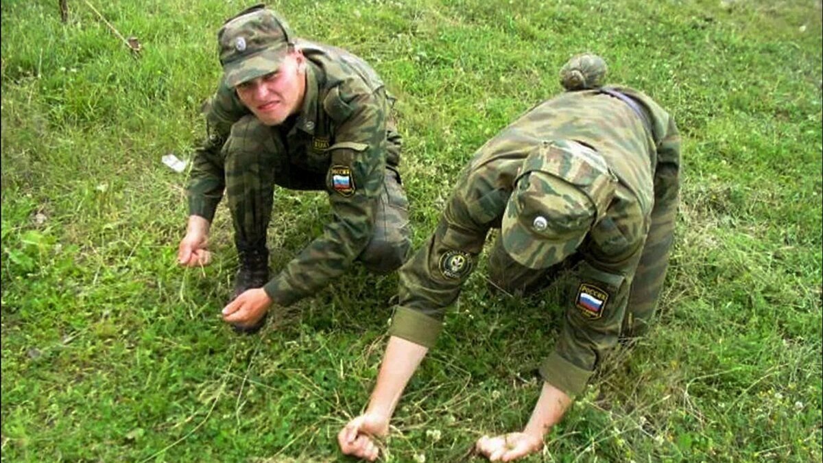 Снять военных. Солдаты красят траву. Красят траву в армии. Солдаты крас ят травуят.