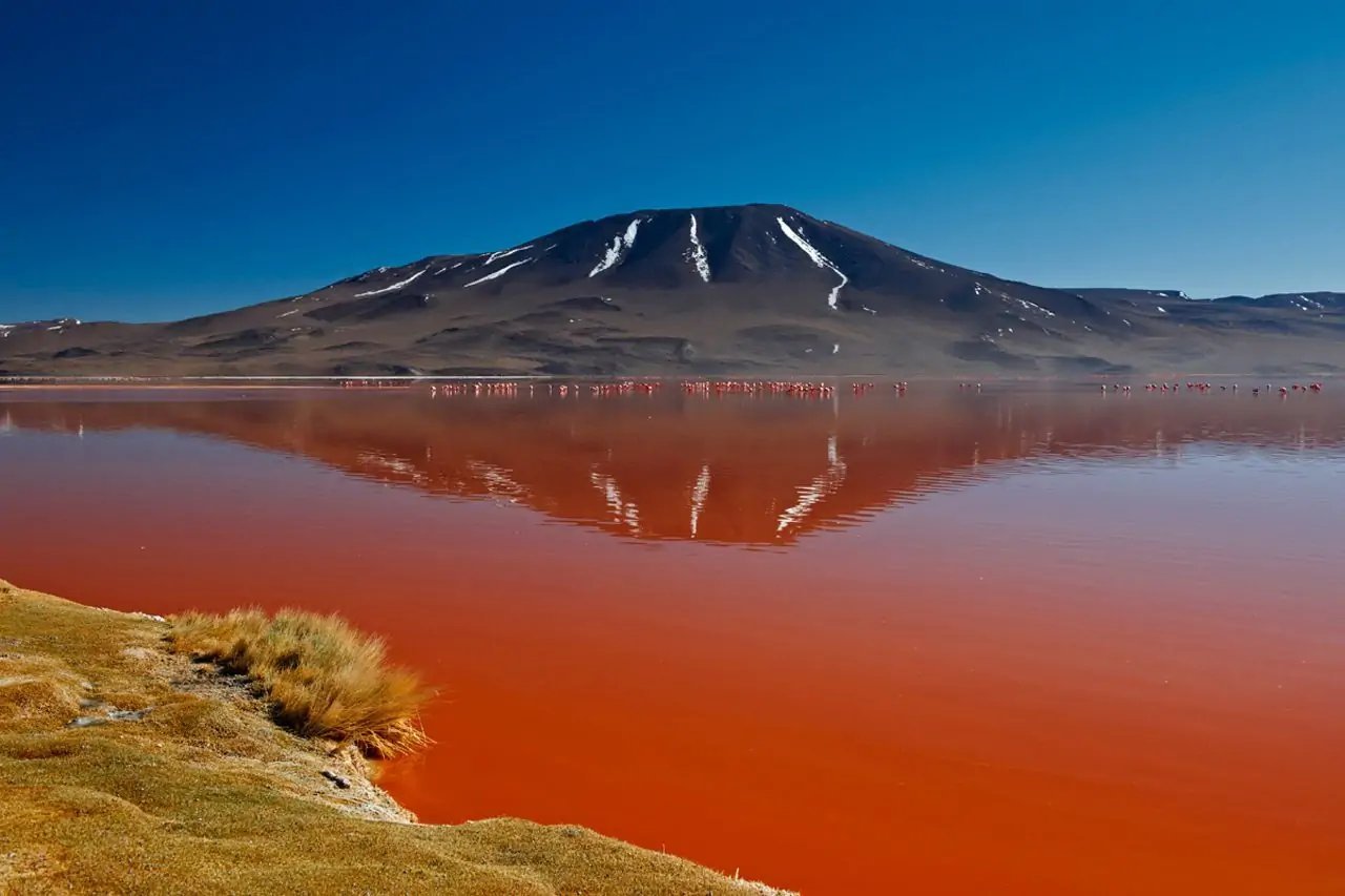 Натрон. Красное озеро в Танзании. Танзанийское озеро Натрон. Озеро Натрон (Lake Natron), Танзания. Река Эвасо-Нгиро, Кения.