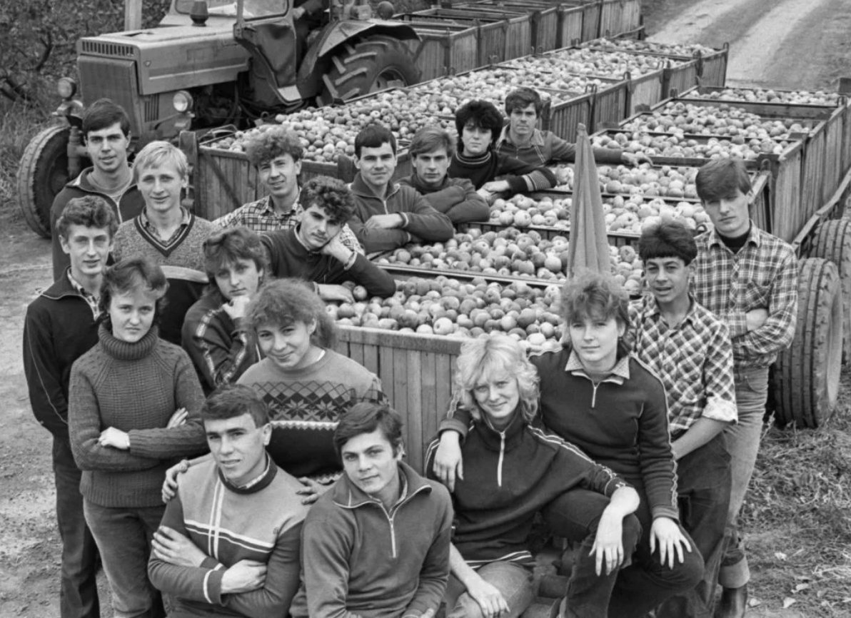 1987 год картинки