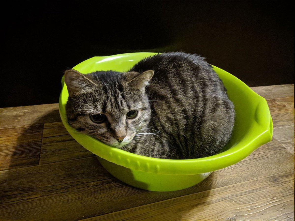 Картинка шлепа в тазике