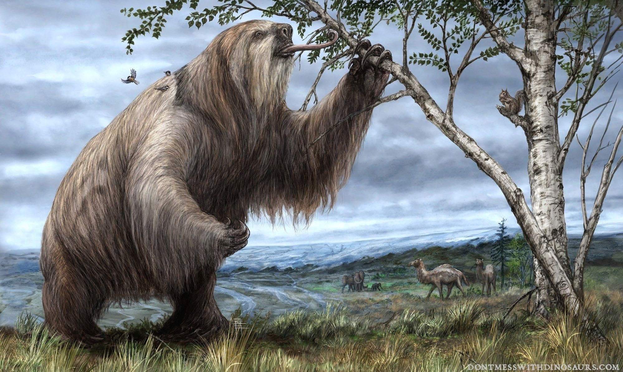 Древний ленивец фото