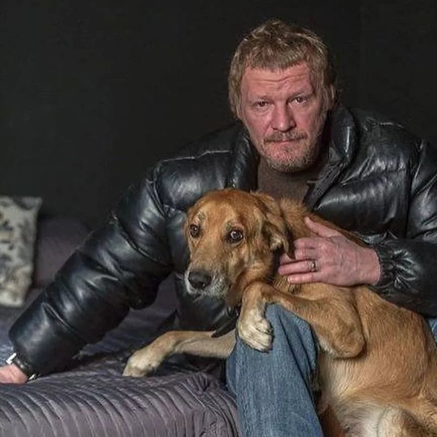 собака алексея воробьева элвис порода. у алексея пять собак. у алексея пять собак. корги элвис алексея воробьева. собака алексея воробьева элвис.