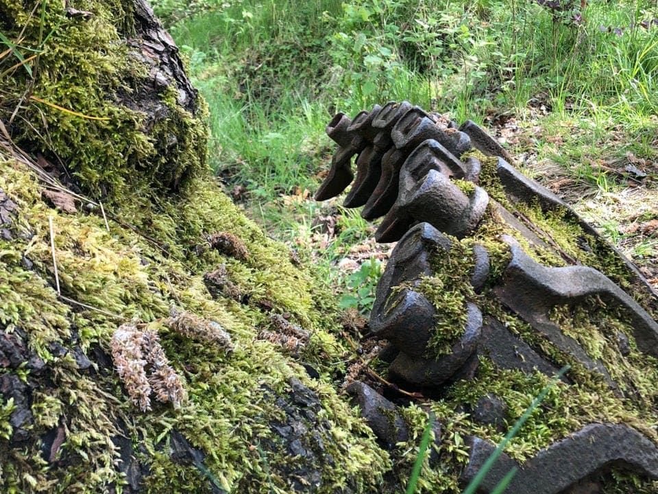 Нашел в лесу. Таинственные находки в лесу. Самые жуткие находки в лесу. Необычные находки в лесах.