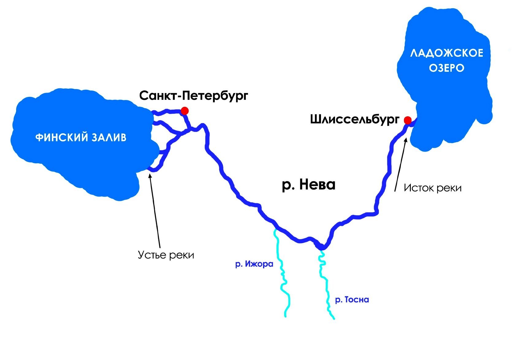 Где река начинает свой путь. Схема реки Невы Исток. Ладожское озеро Исток Невы.