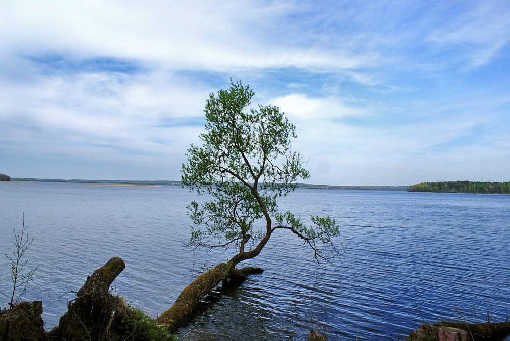 Владимир качан фото с женой