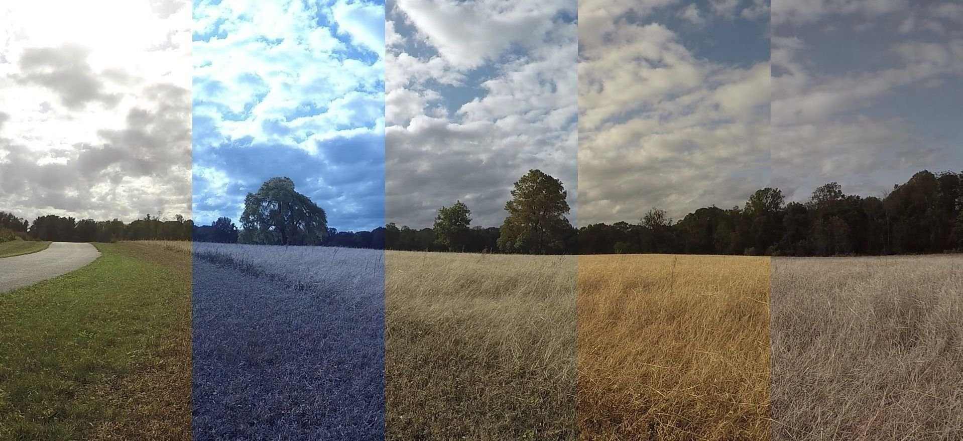 Что влияет на качество фотографий