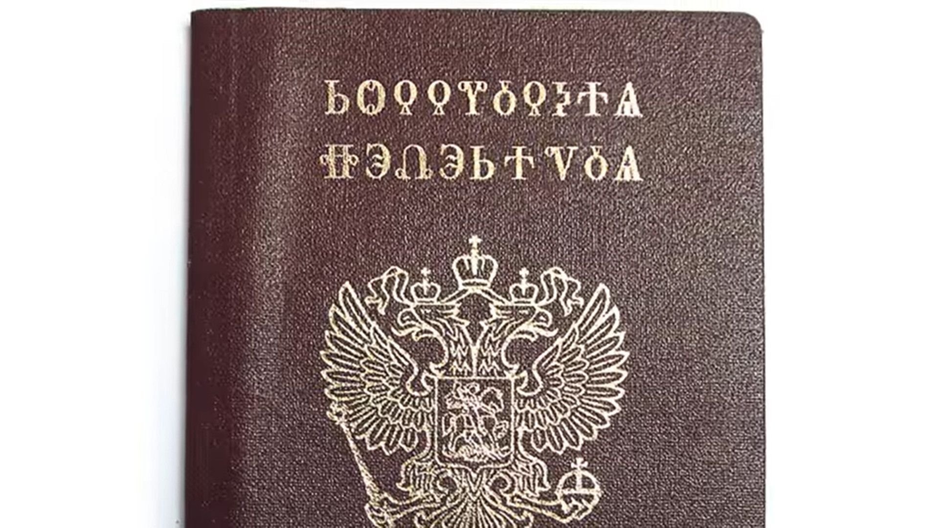 Паспорт рисунок раскраска
