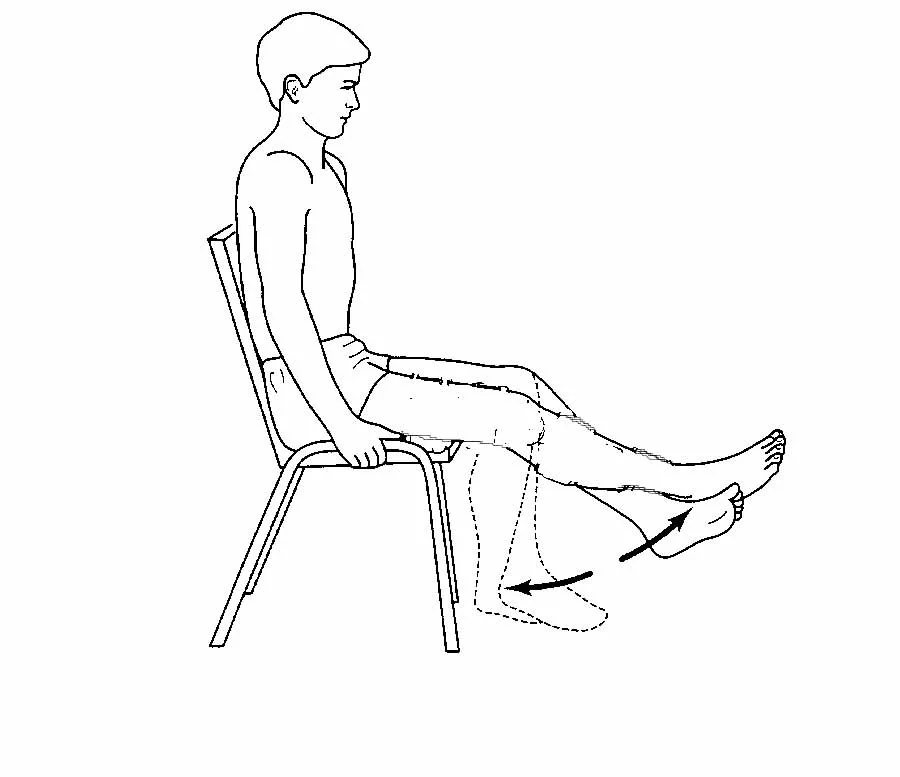 Сгибание и разгибание ног в коленном суставе. Упражнения сидя. Сгибание голени сидя. Упражнения для ног сидя на стуле.