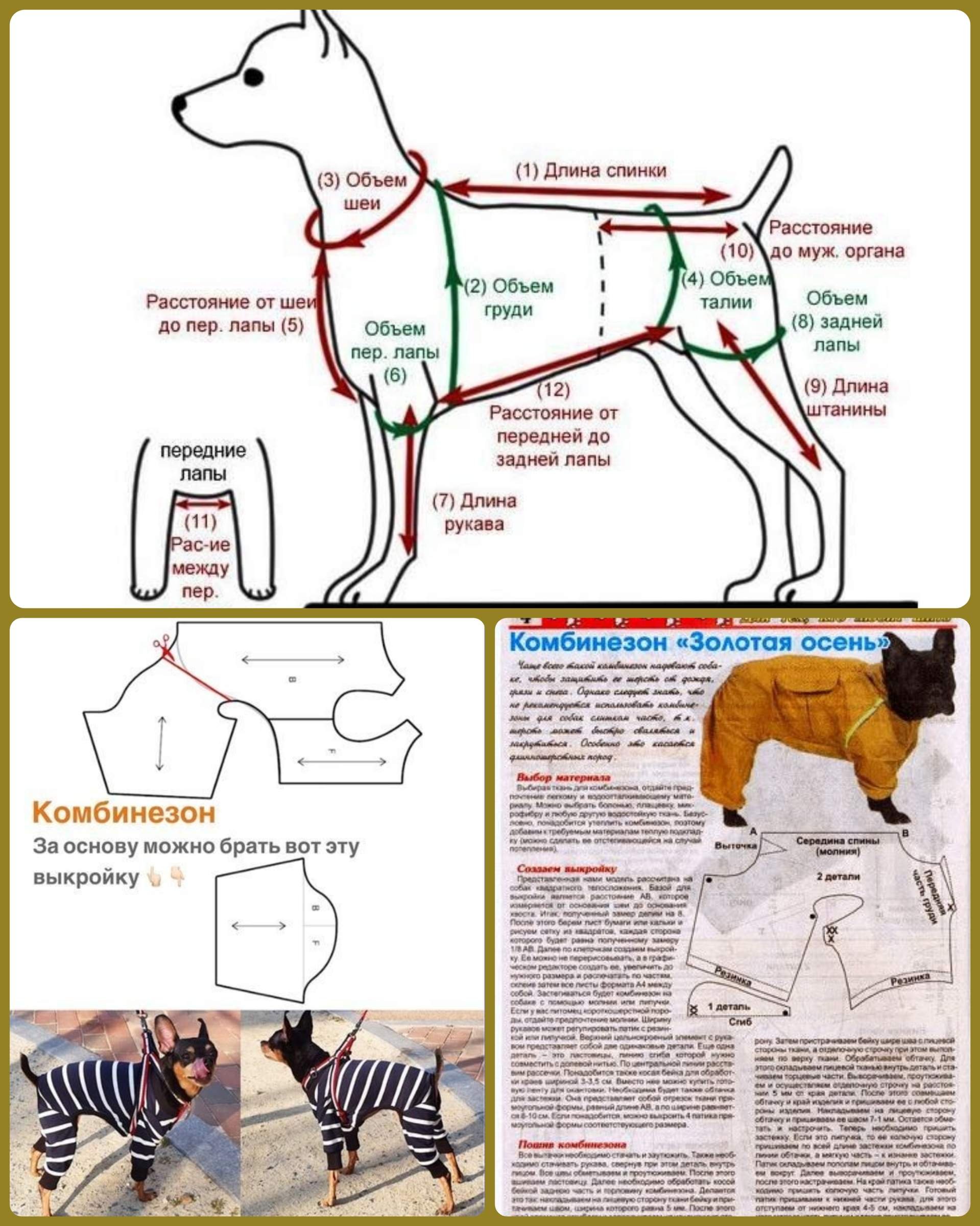 Крой комбинезона для собак