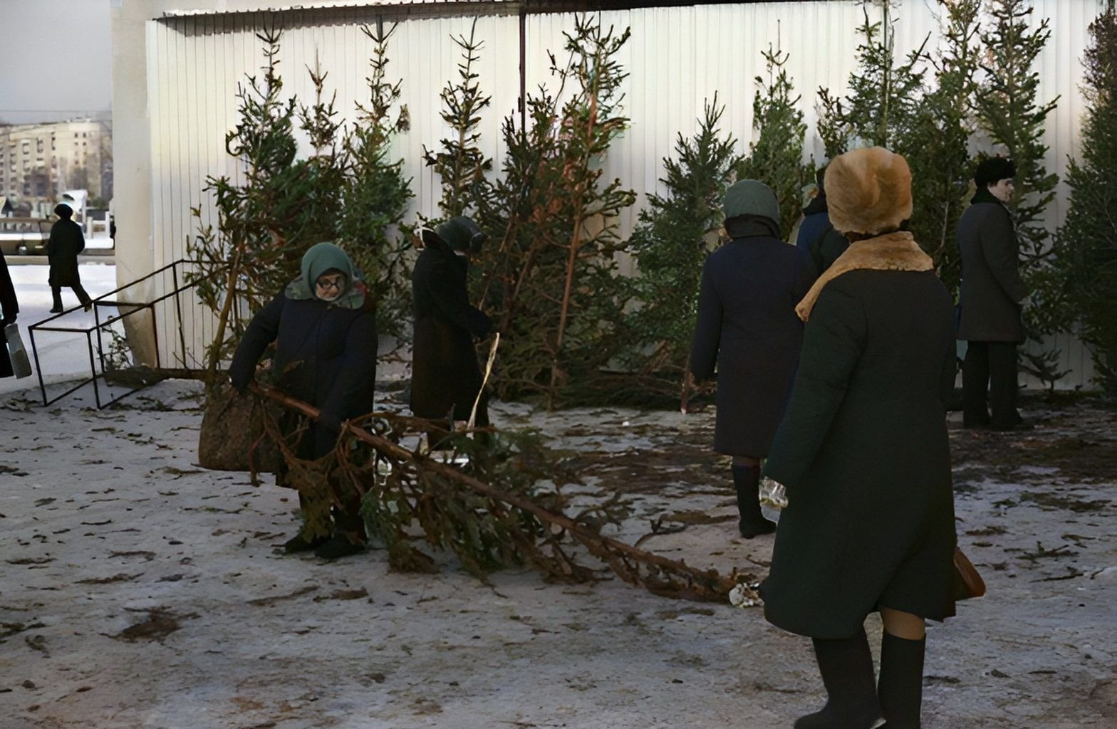 Соколаев фото Новокузнецк