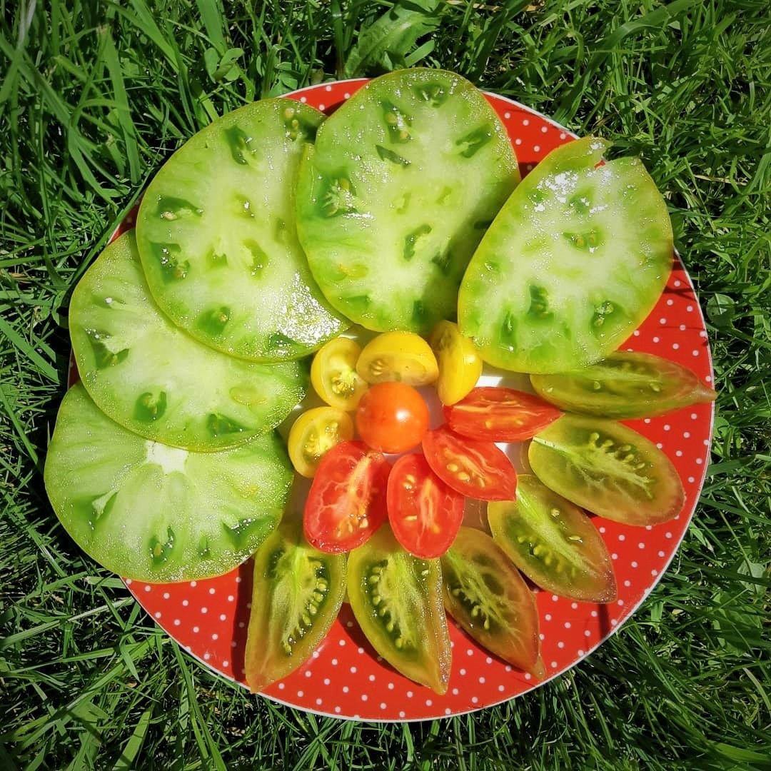 Зеленая тайна личинки