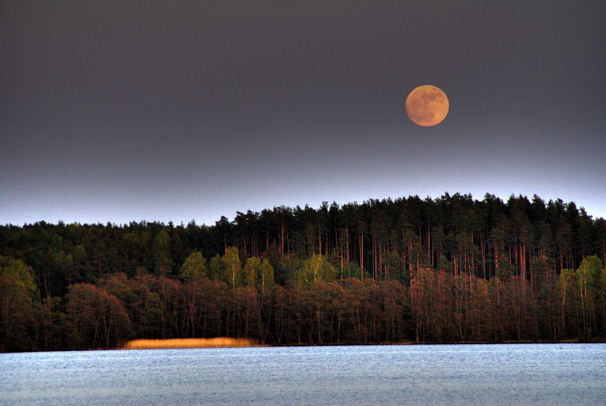 Поздняя луна. Восход Луны. Полнолуние. Луна над озером. Луна над лесом.