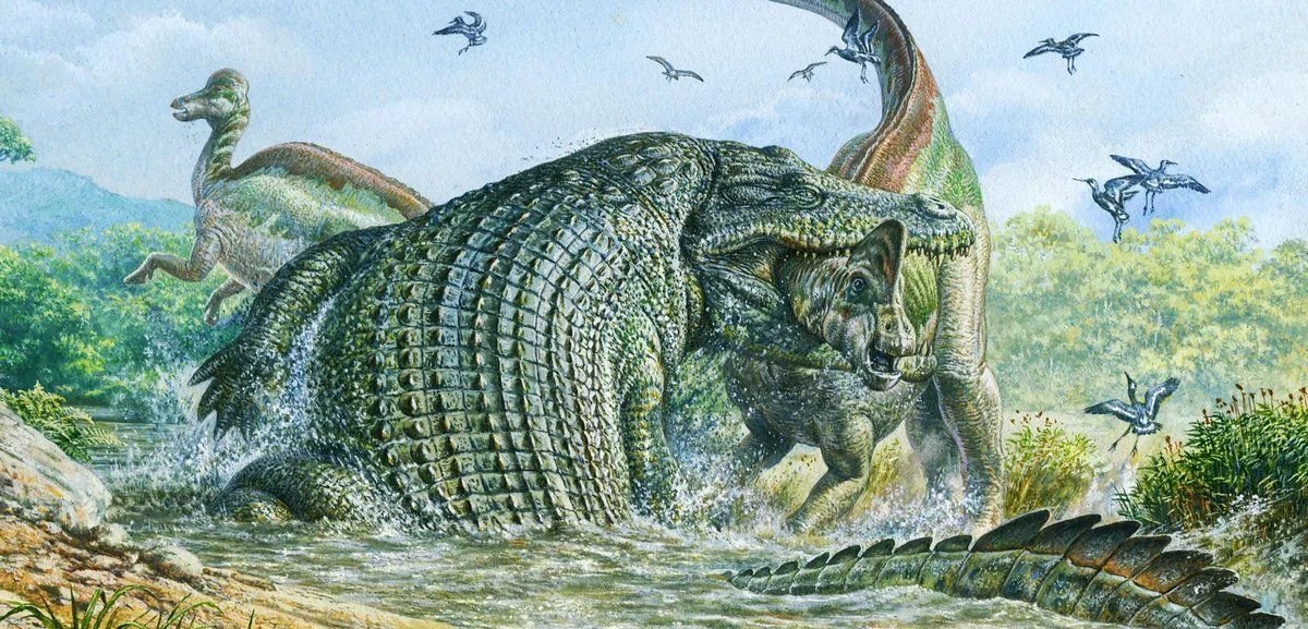 Динозавры жили миллионов лет назад. Доисторический крокодил дейнозух. Древний крокодил дейнозух. Доисторический крокодил дейнозух размер. Дейнозух палеоарт.