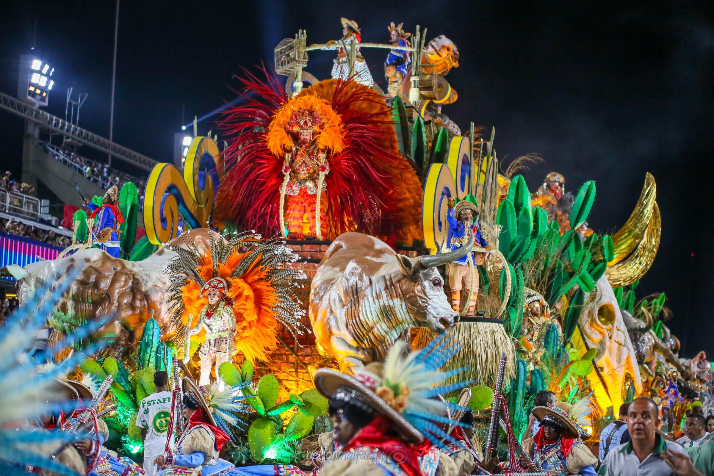 описание карнавала в бразилии