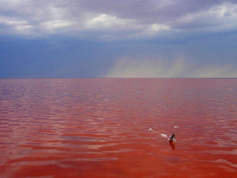 Соленое вода озеро