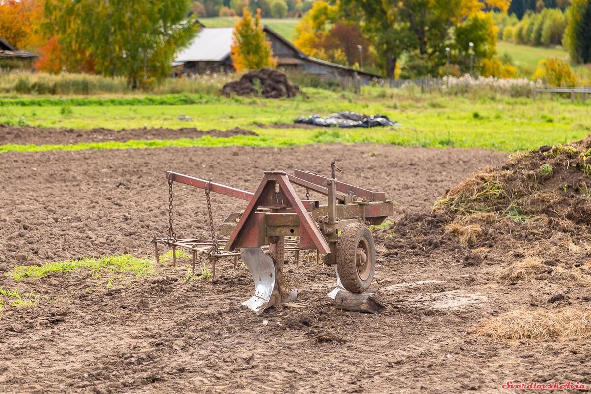 Упражнение 113 по русскому языку 6 класс. Тракторист стих ведет он трактор бороздой. Ведет он трактор бороздой. Тракторист ведет он трактор бороздой с упрямой целиною споря как. Н букин тракторист стихотворение.