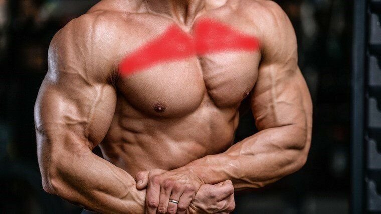 Как прокачать верхнюю часть грудных мышц и почему жим под угол 45 ...