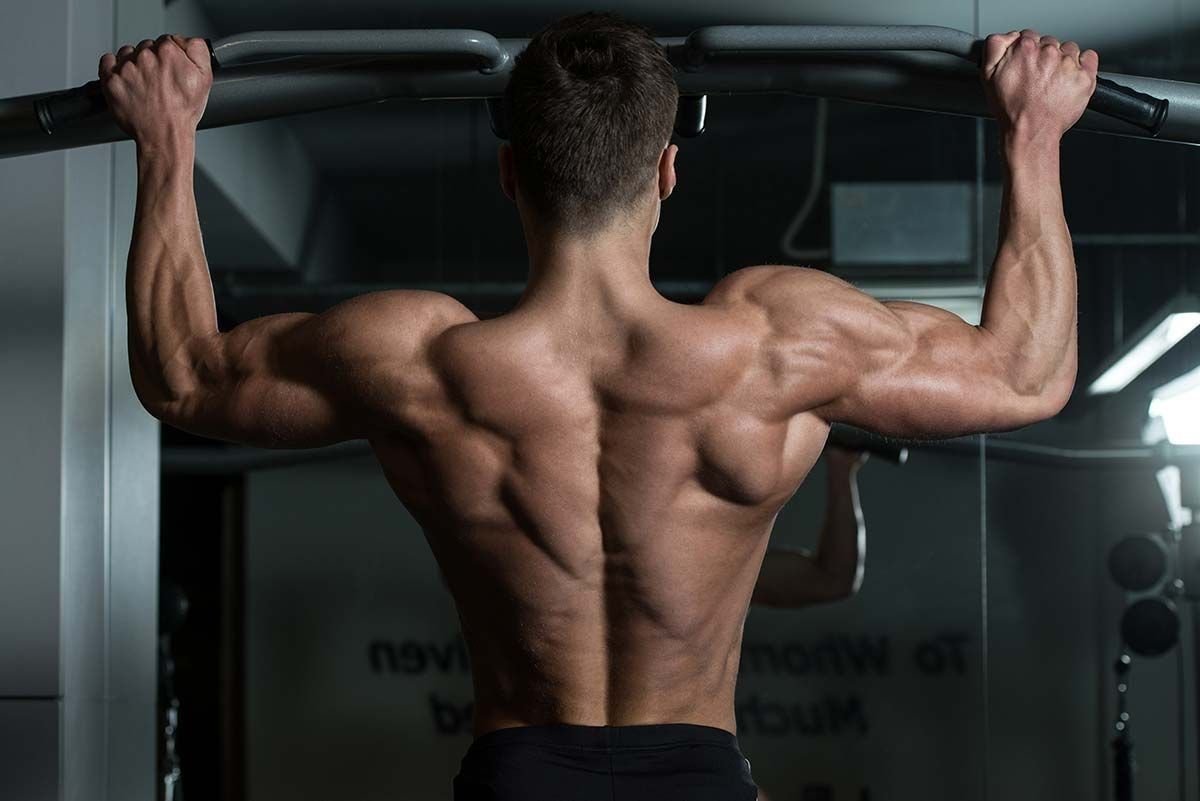 Подтягивания суставы. Мышцы спины. Накаченная спина. Мускулы спины. Широчайшие спины.