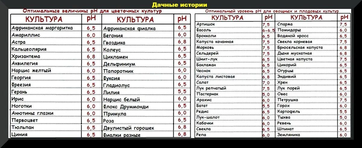 Кислотность помидора. Таблица кислотности почвы для огородных растений и овощей. Кислотность почвы таблица для овощей. Кислотность почвы таблица PH. Оптимальная величина РН для цветочных культур.