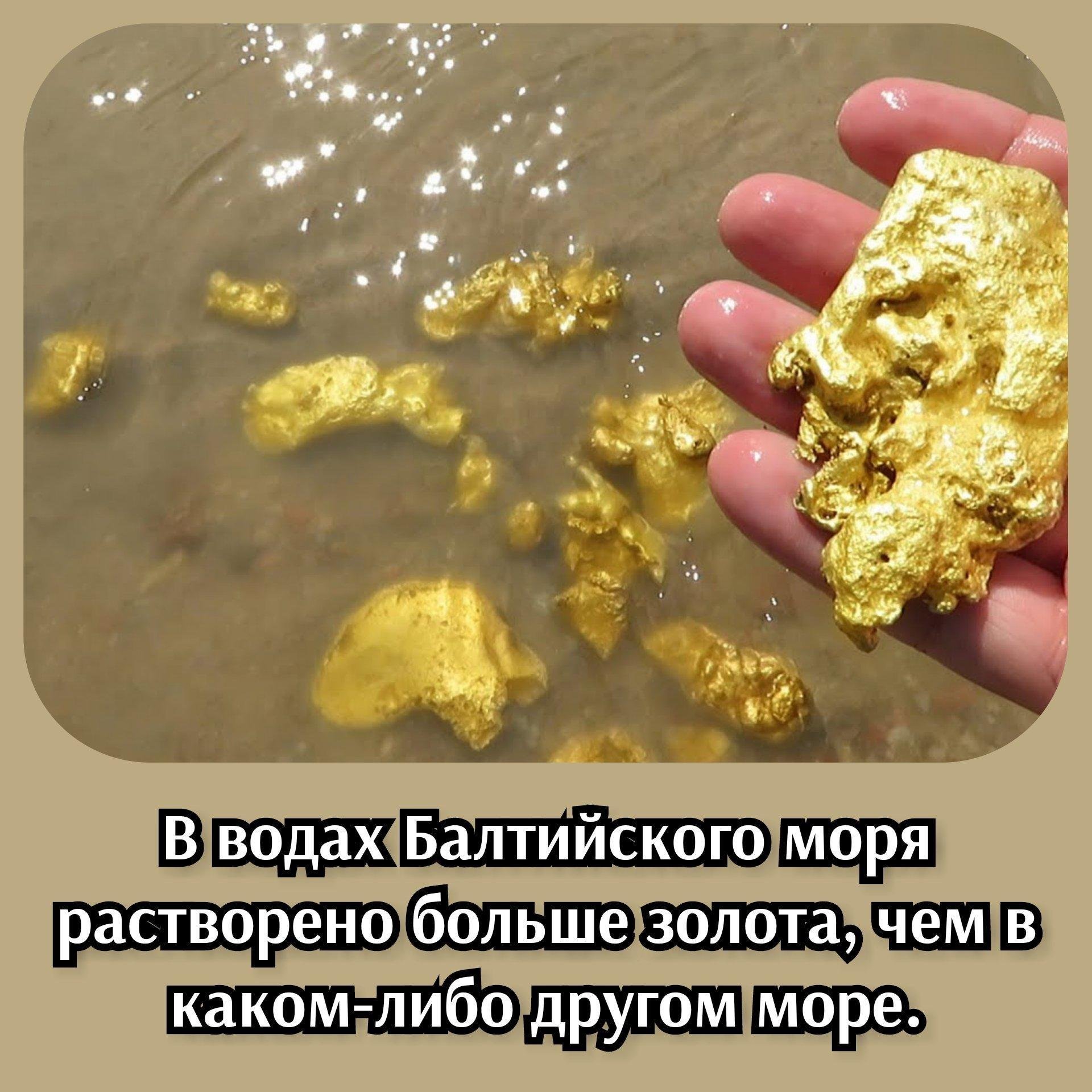 В каких металлах есть золото