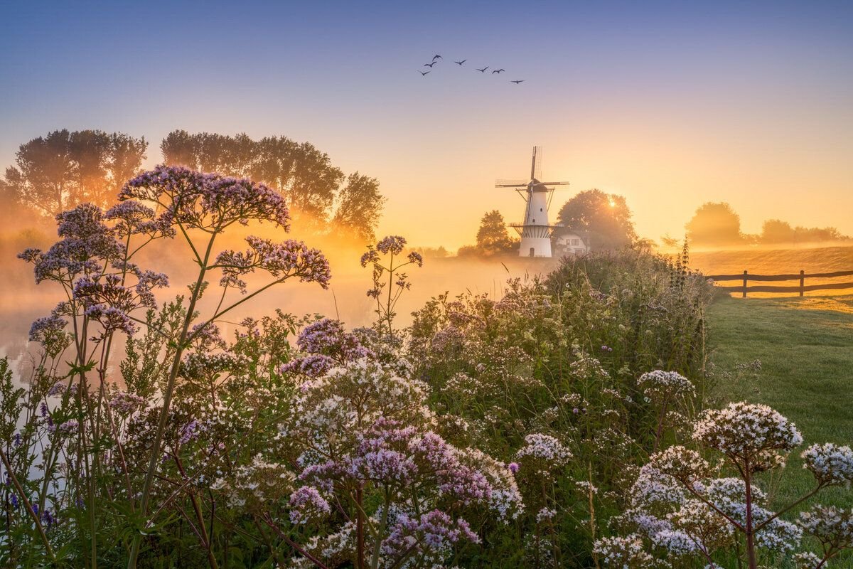 Фотограф-пейзажист Альберт дрос