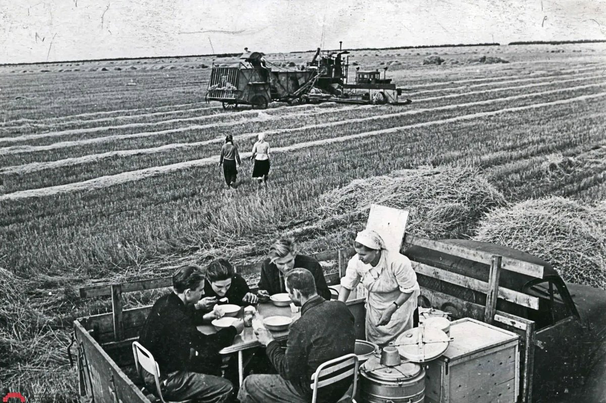 Освоение целины. Полевой стан целинников. 1954 Освоение целины. Освоение целины в СССР. Целинная эпопея Совхоз Кытмановский.