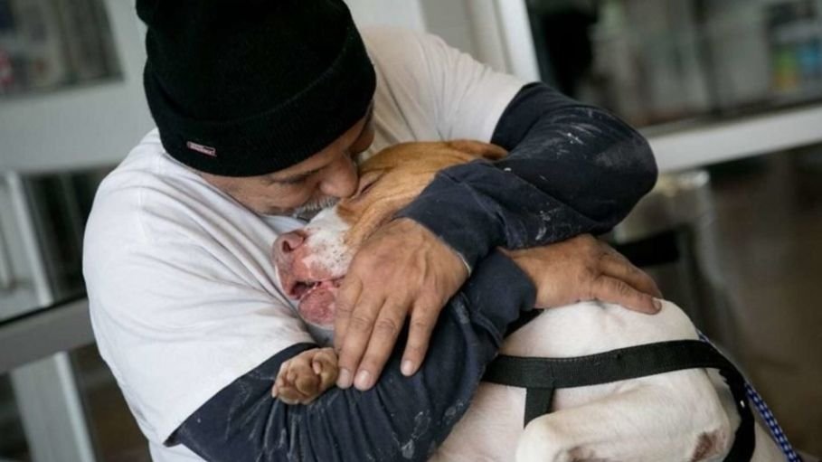 История о том, как один мужчина отдал своего пса в приют, но спустя время пришёл и забрал его обратно